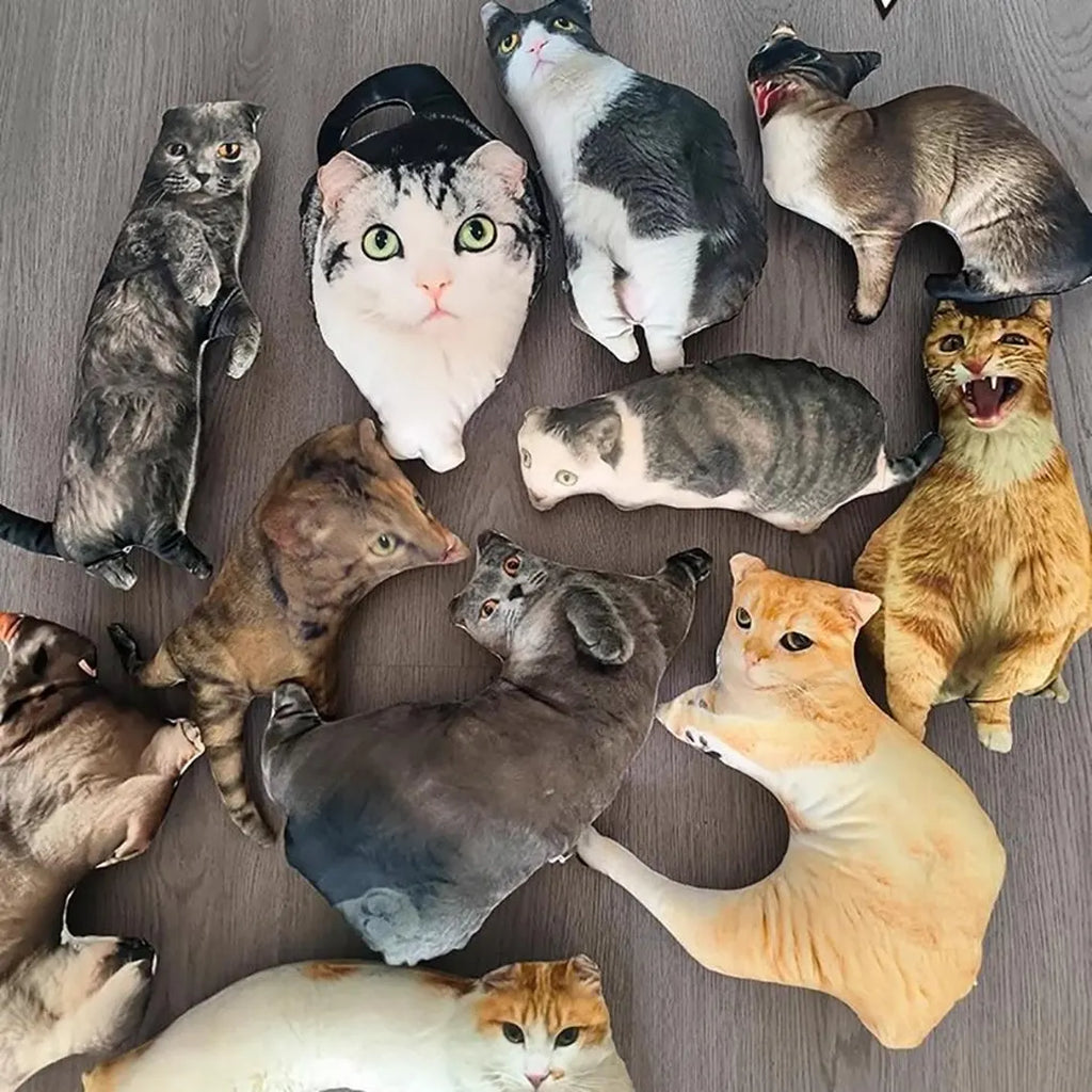 Almohada de Cara Fea Personalizada – Cojín de Broma con Foto 3D