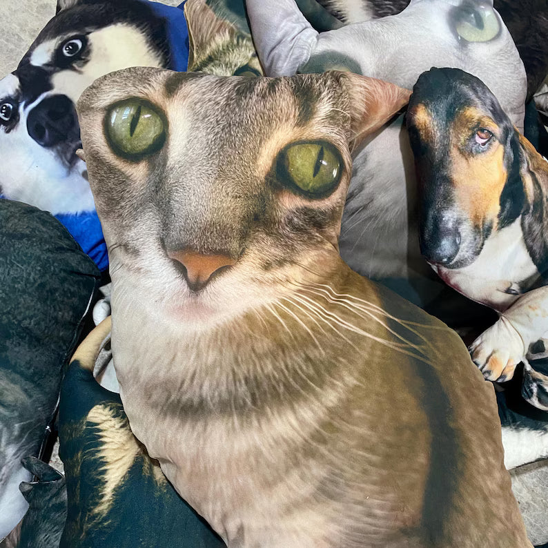 Almohada de Cara Fea Personalizada – Cojín de Broma con Foto 3D