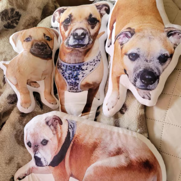 Almohada Conmemorativa para Mascotas – Cojín con Forma 3D de tu Perro o Gato