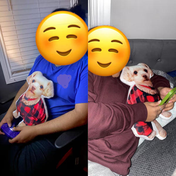 Almohada Conmemorativa para Mascotas – Cojín con Forma 3D de tu Perro o Gato