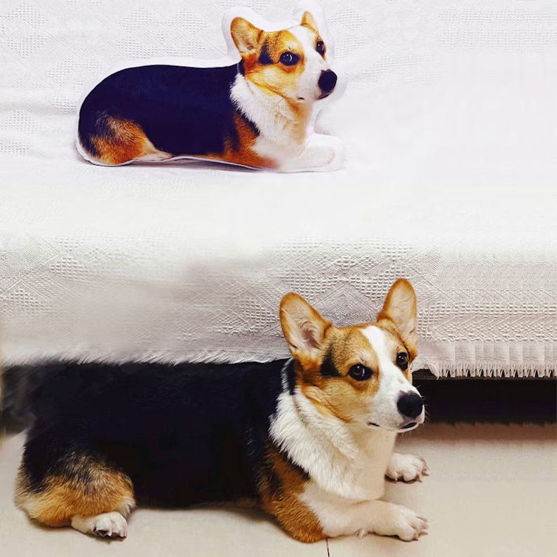 Almohada Conmemorativa para Mascotas – Cojín con Forma 3D de tu Perro o Gato