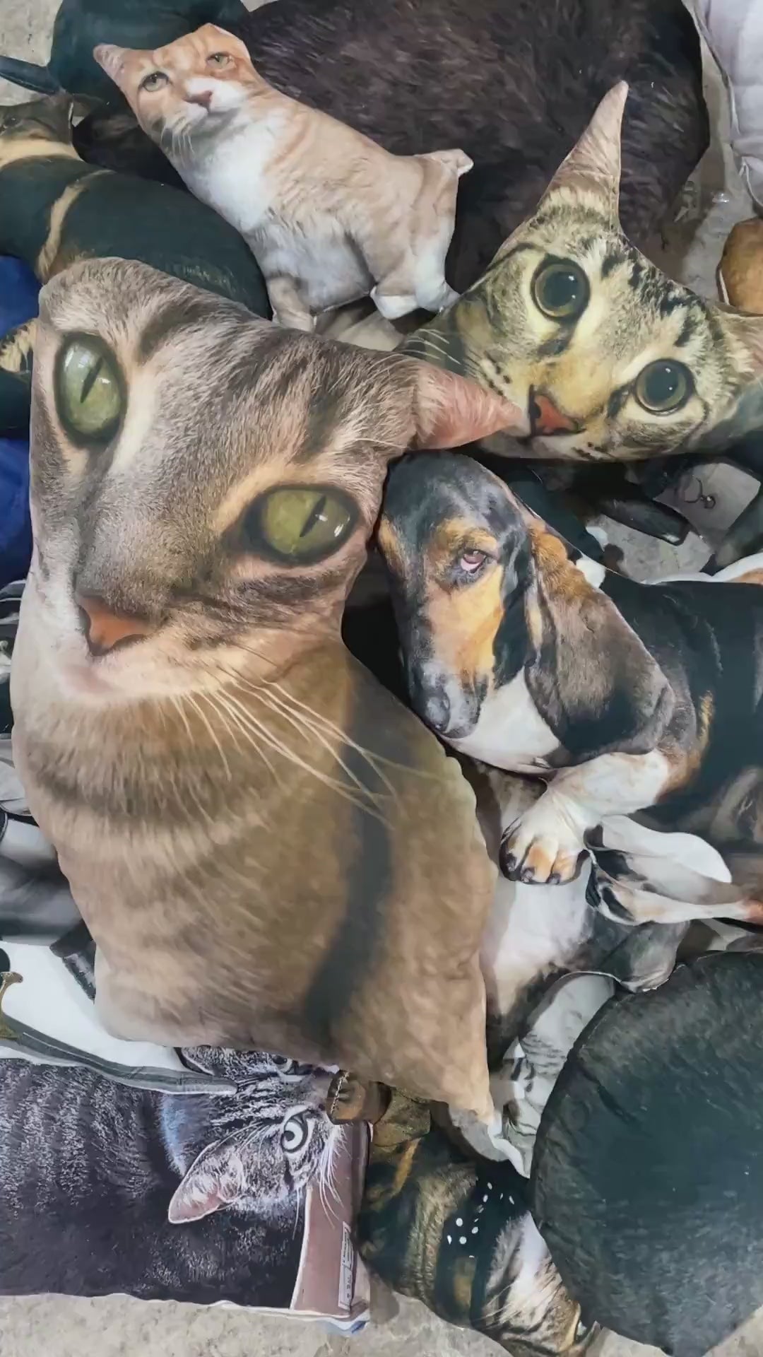 Almohada de Cara Fea Personalizada – Cojín de Broma con Foto 3D