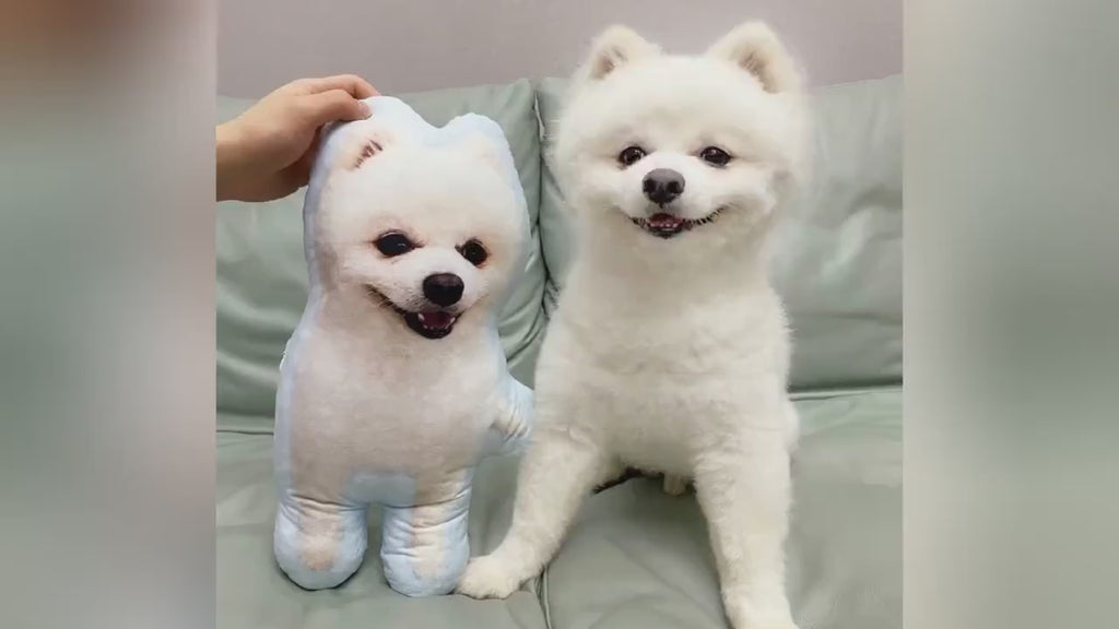Almohada Conmemorativa para Mascotas – Cojín con Forma 3D de tu Perro o Gato