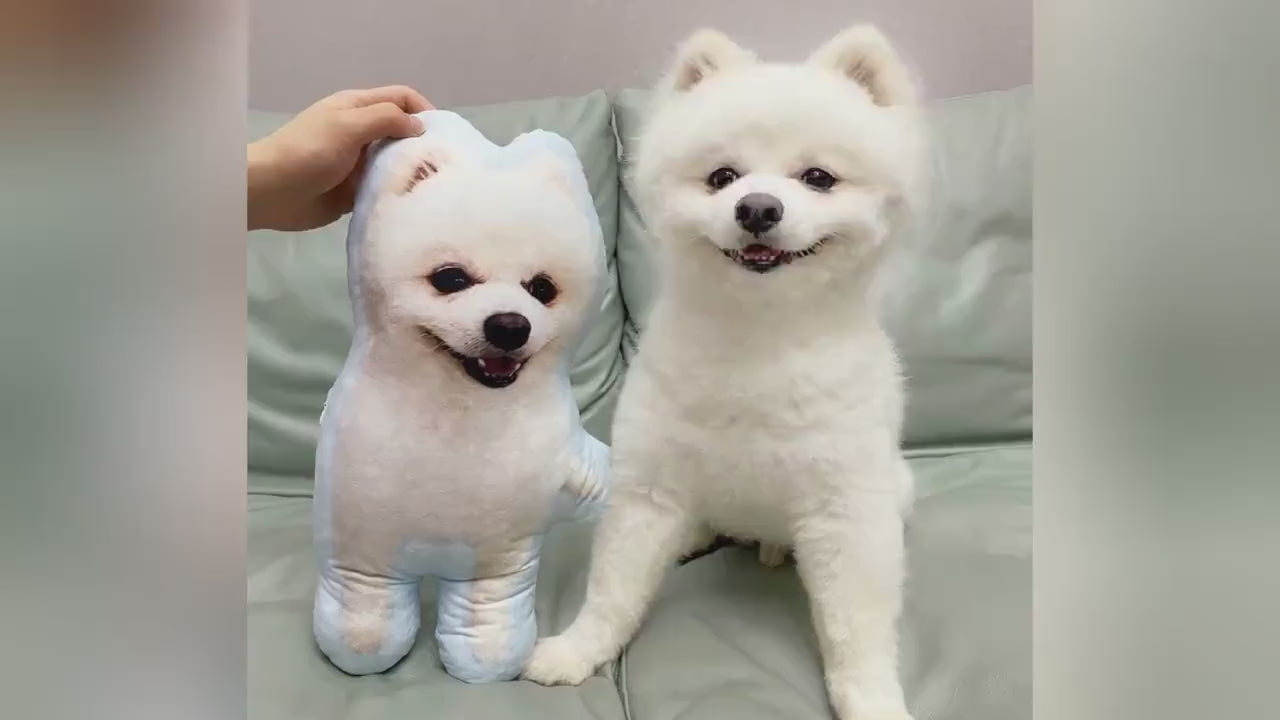 Almohada Conmemorativa para Mascotas – Cojín con Forma 3D de tu Perro o Gato