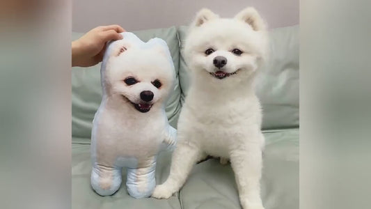 Almohada Conmemorativa para Mascotas – Cojín con Forma 3D de tu Perro o Gato